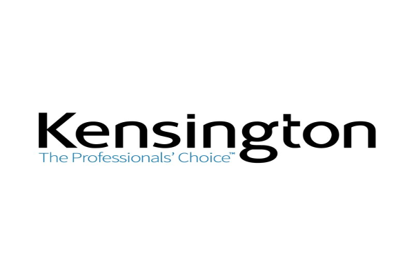 Logo de KINGSTON